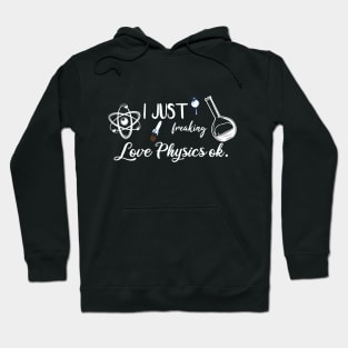 I Just Freaking Love Physics ok Hoodie